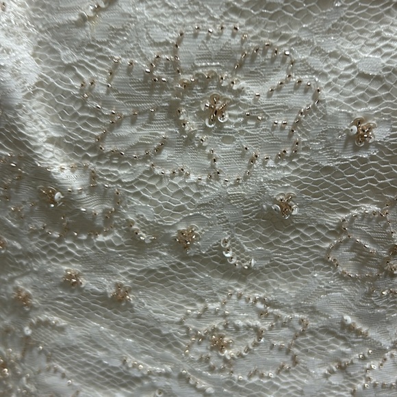 Lady Roi Ivory Spaghetti Strap gown Style Number 8553 New in Package Size 14 - Picture 3 of 9